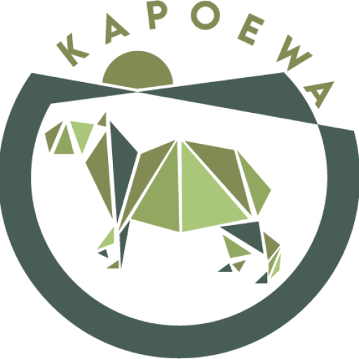Kapoewa Logistics